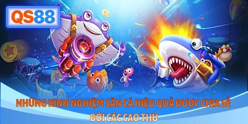 Những kinh nghiệm săn cá hiệu quả được chia sẻ bởi các cao thủ